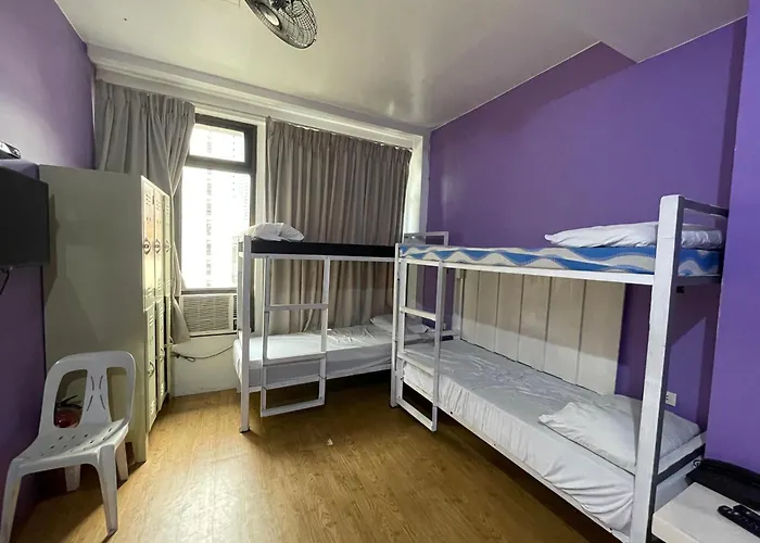 The Purple Tree Hostel