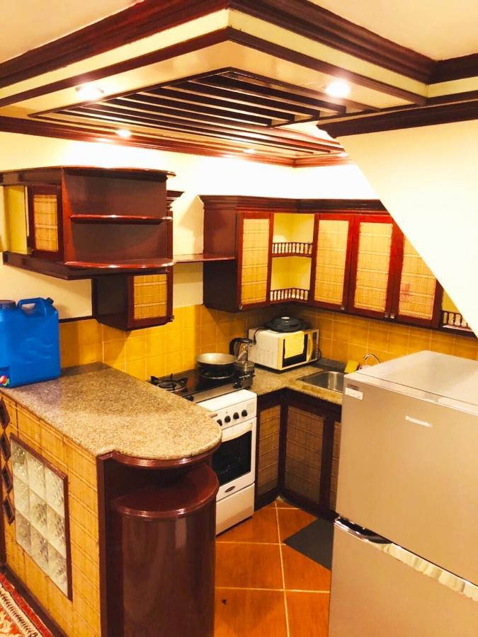 The Mansion - Backpackers Near Airport Apartment Manila