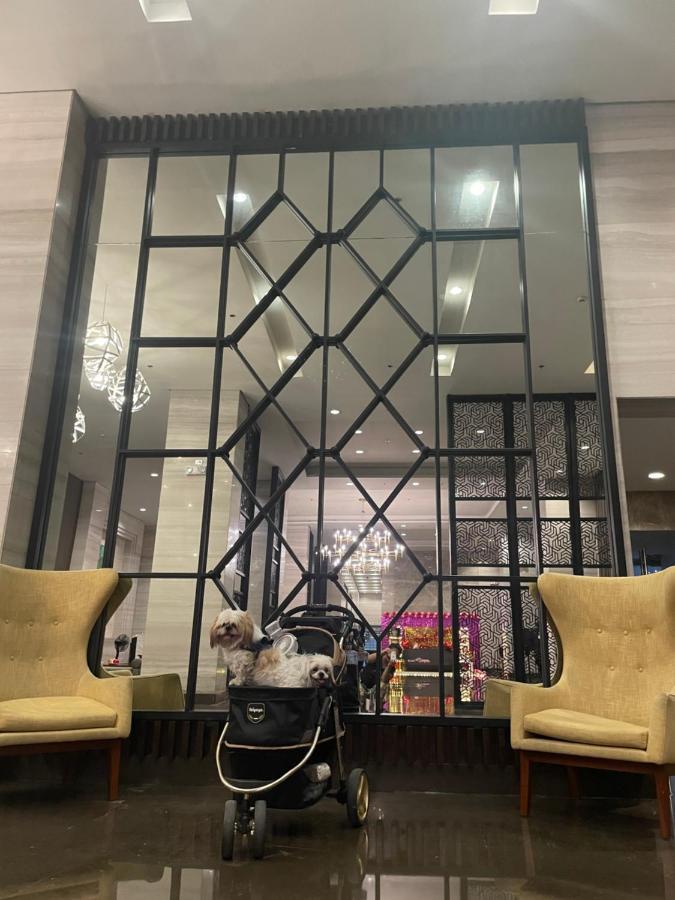 Cuddle & Doodlz's Pet Friendly Place At The Radiance Bay * Manila
