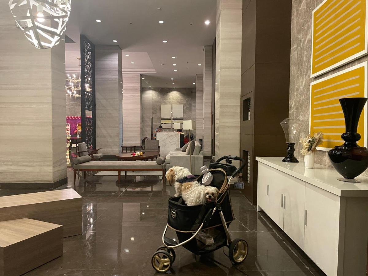 Cuddle & Doodlz's Pet Friendly Place At The Radiance Bay * Manila