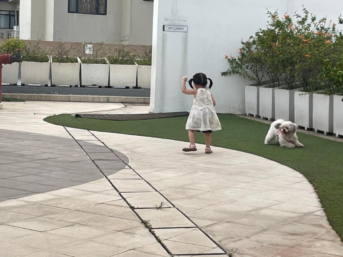 Cuddle & Doodlz's Pet Friendly Place At The Radiance Bay Manila