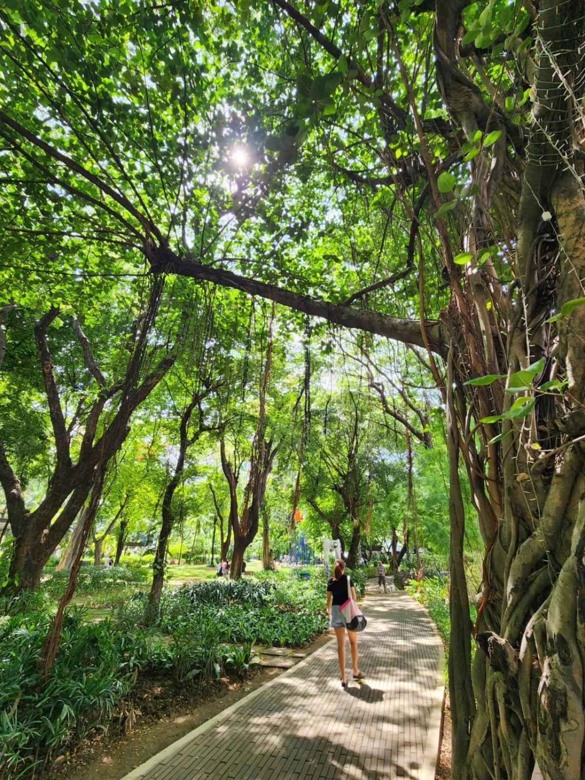 Muji Kltower Makati - Greenbelt - With Pool Access Manila