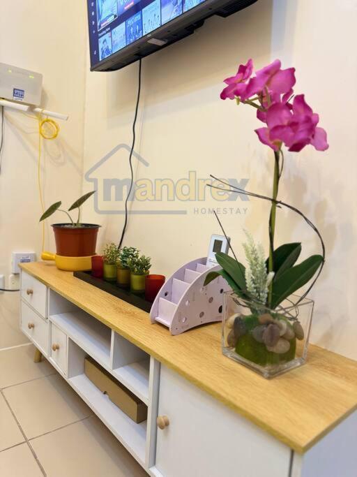 Downtown Dwelling Apartment *