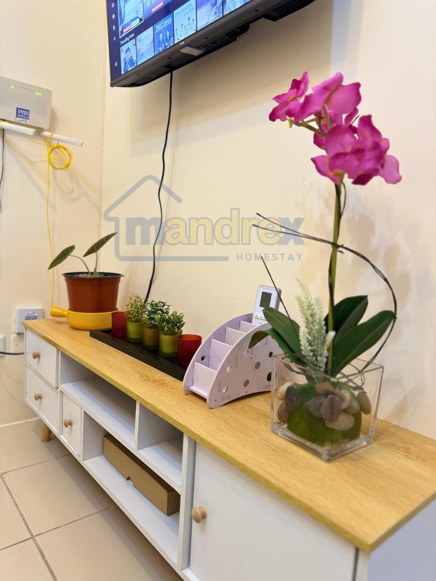 Apartment Downtown Dwelling