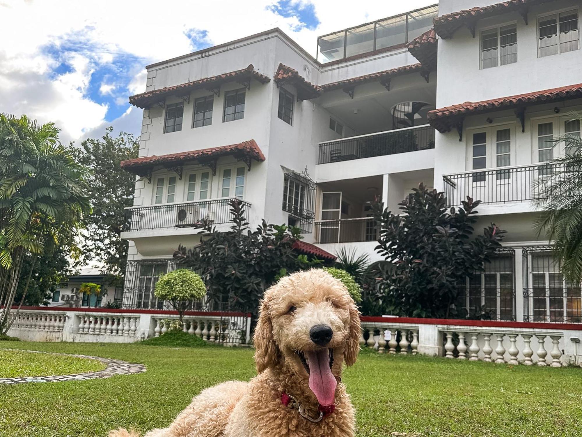 Miranamin Nest Banaba - Garden View, Shared Kitchen, Pet Friendly *