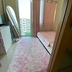Zia\'S Preaecious Stays