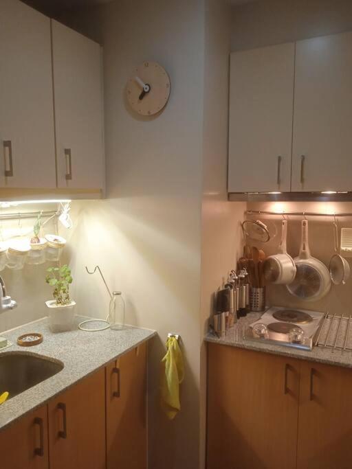 Mckinley Hills Bgc Taguig Apartment