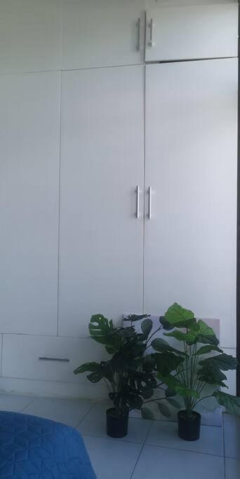 Penthouse At Poblacion - 200mbs Net - 50in Tv - Awesome View