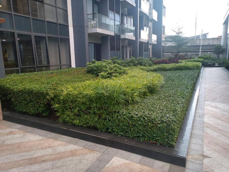 Budget In 81 Newport Near Terminal 1 Bedroom C6-3h *