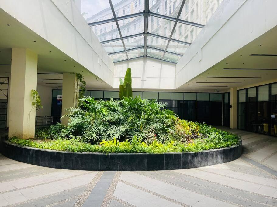 Apartment Budget In 81 Newport Near Terminal 1 Bedroom C6-3h Manila