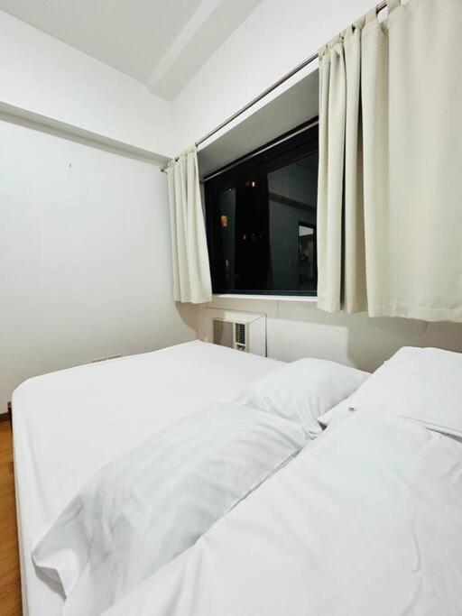 Apartment Budget At Ace By The Famous Indoor Water Manila