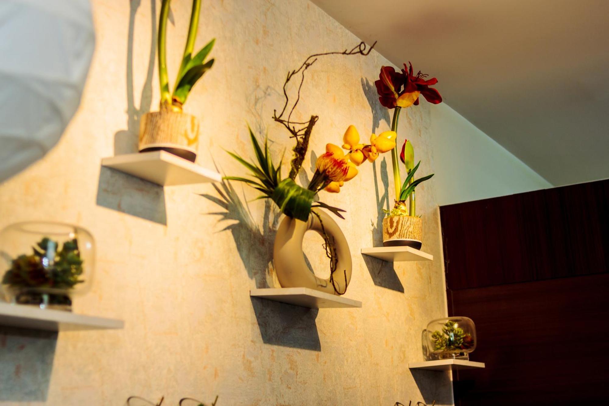 Canvas & Petals Blossoming Art Penthouse Gym Swim Park 5716 Apartment *