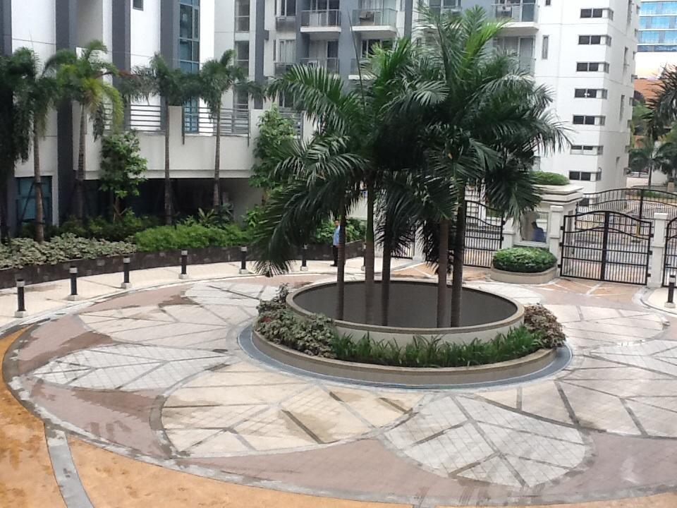 Palm Tree Genlex *