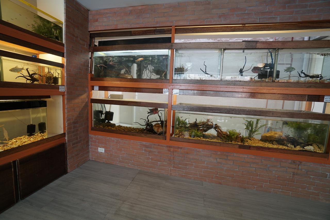 1775 Adriatico Apartment Manila
