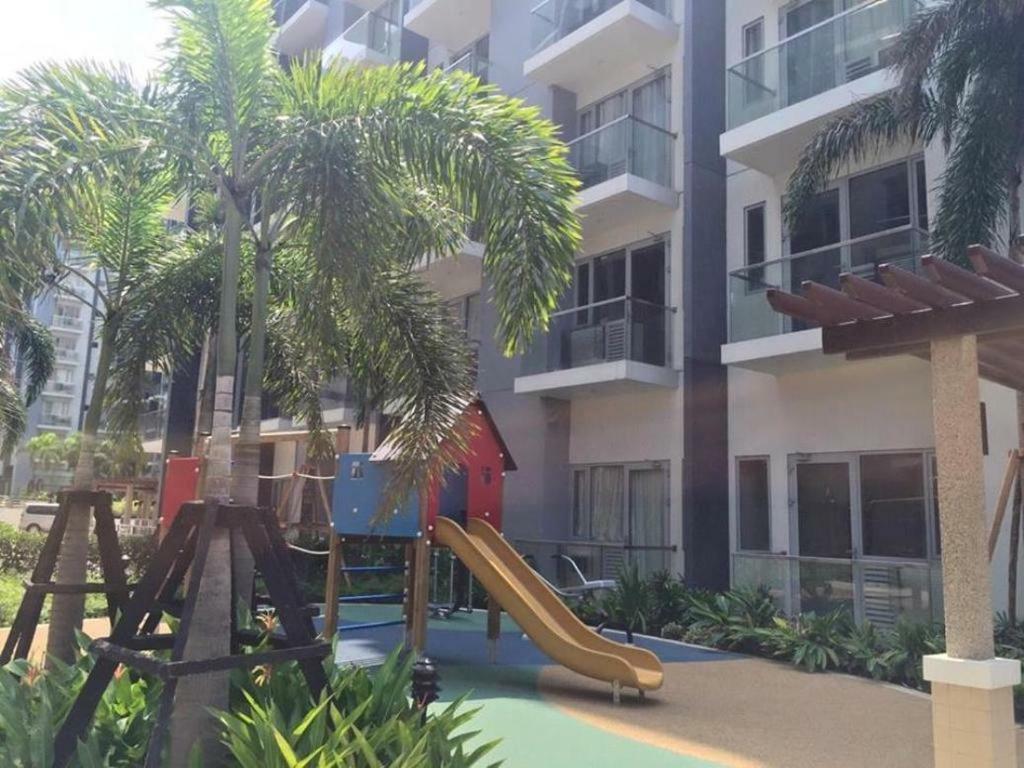 One Palm Tree
