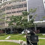 Cuddle & Doodlz\'S Pet Friendly Place At The Radiance Manila Bay
