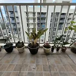 Kasara Relaxing Abode