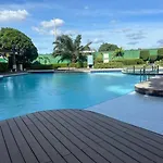 Modern Oasis: Pool + Netflix