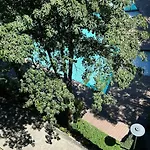 Modern Oasis: Pool + Netflix
