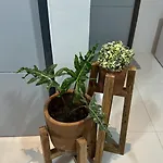 Grey Oasis Staycation 1 Bedroom