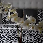 Spotless Cozy Studio Unit @ 150 Newport Across Naia T3