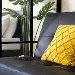 Urban Oasis Cozy Escape