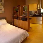 Modern Furnished Penthse View On Say