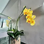 Makati Hotel