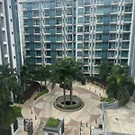 One Palm Tree By Melba Studio Type