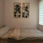 New Staycation In Trees