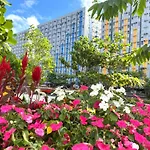 Affordable Fully Furnished Place In The City