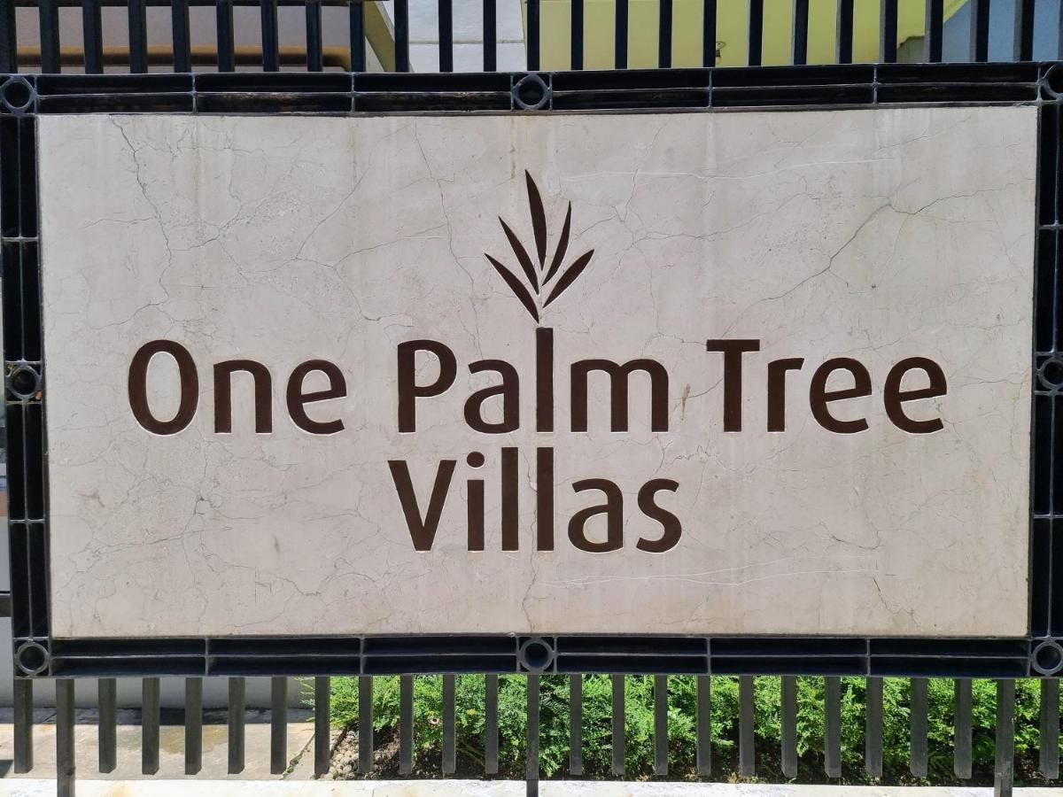 Apartment One Palm Tree Across Naia Terminal 3