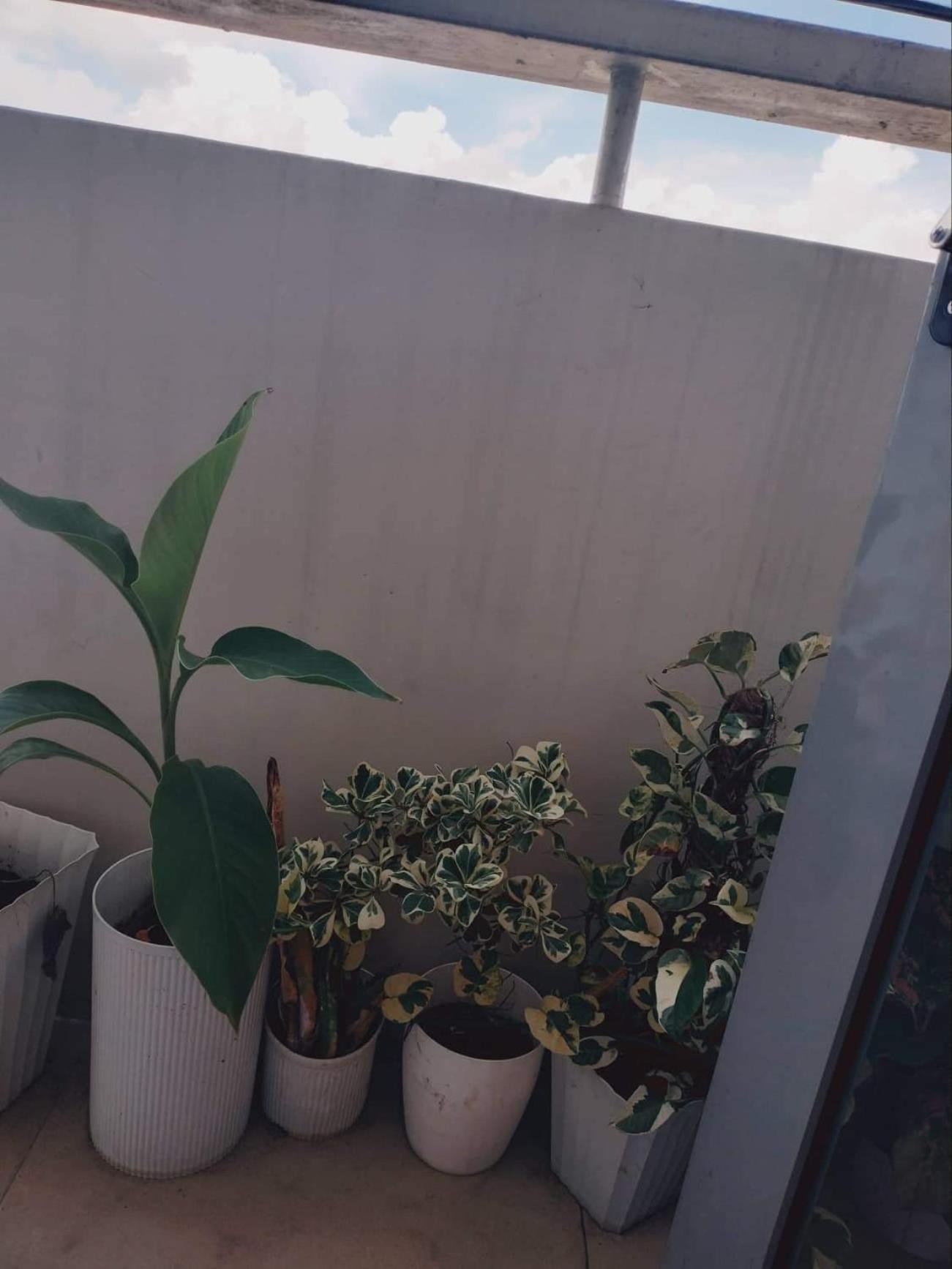 Cubao Manhattan Heights Unit 23d Tower D, 2br Aparthotel *