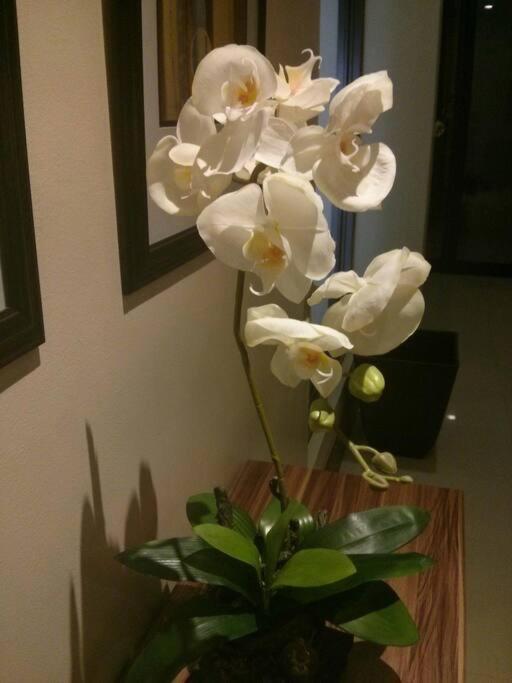 Spacious Modern 2 Bed 2 Bath By Wsi Residences