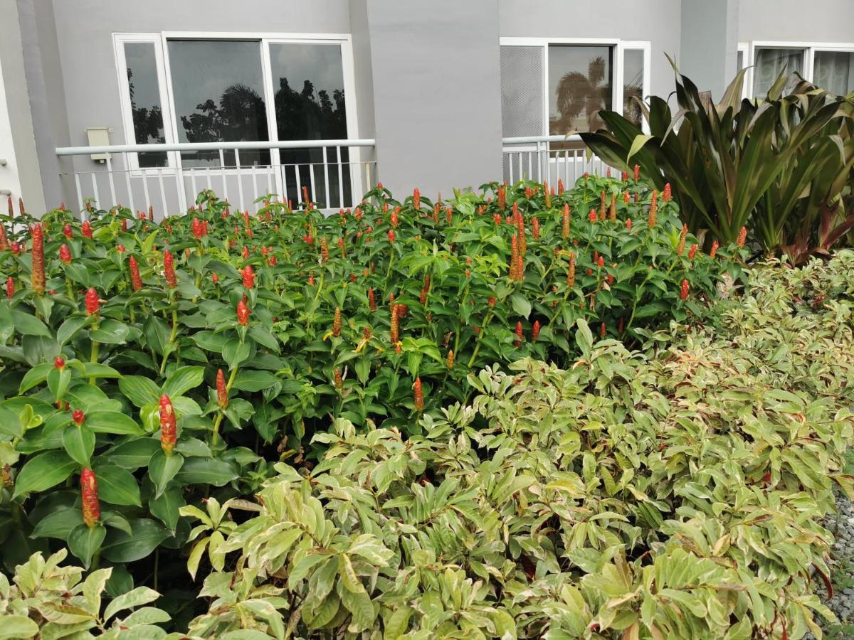 Crib's Nr.bgc Apartment *