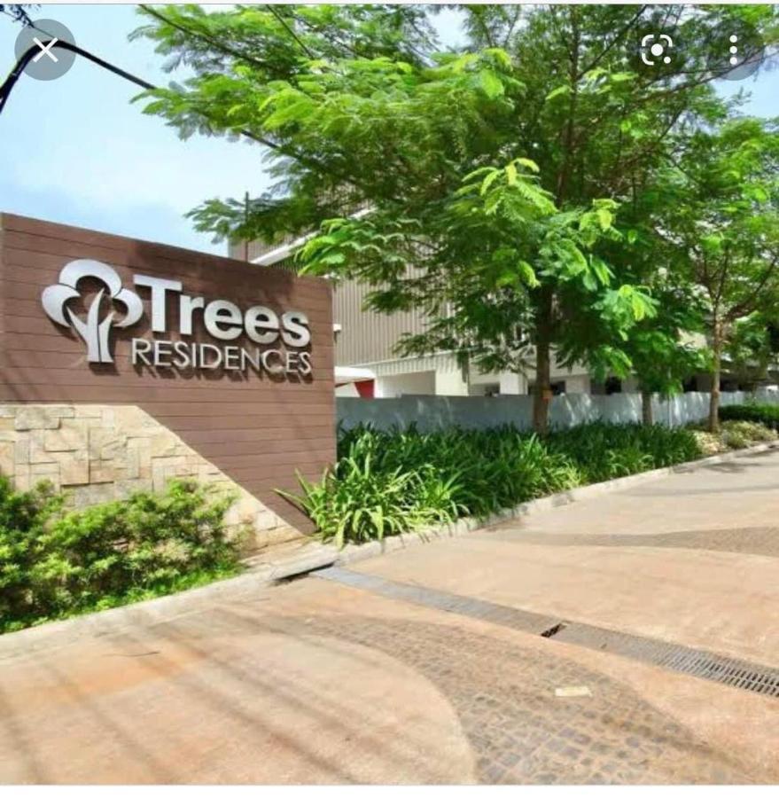 Euphoria Staycation At Smdc Trees Residences * Manila