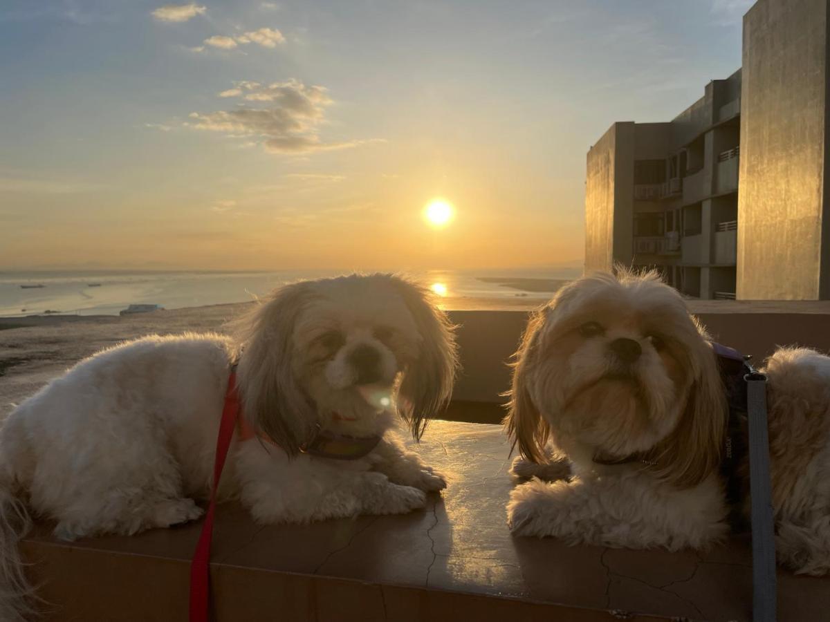 Cuddle & Doodlz's Pet Friendly Place At The Radiance Bay Apartment