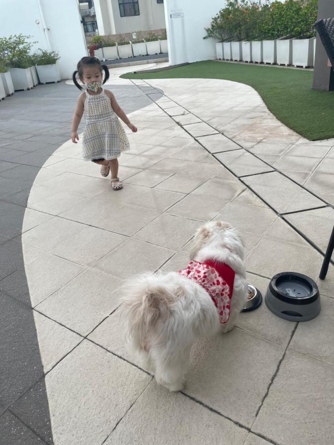 Cuddle & Doodlz's Pet Friendly Place At The Radiance Bay Apartment