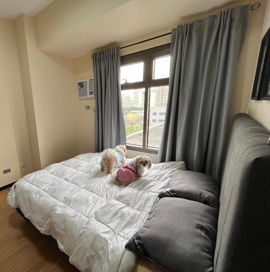 Apartment Cuddle & Doodlz's Pet Friendly Place At The Radiance Bay Manila