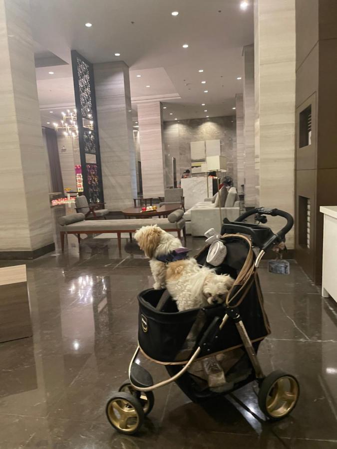 Apartment Cuddle & Doodlz's Pet Friendly Place At The Radiance Bay Manila