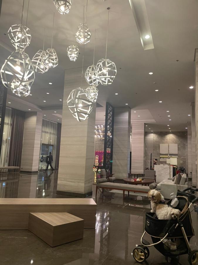 Apartment Cuddle & Doodlz's Pet Friendly Place At The Radiance Bay Manila