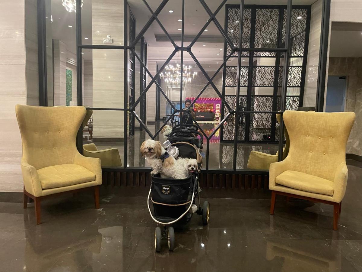 Cuddle & Doodlz's Pet Friendly Place At The Radiance Bay Apartment Manila