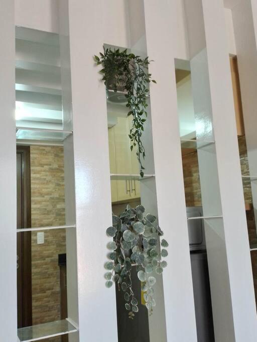 Pasay Onepalm Tree 7n C3 * Manila