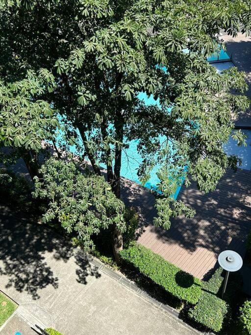 Modern Oasis: Pool + Netflix *