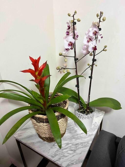 Penthouse Unit Near Airport Naia Apartamento