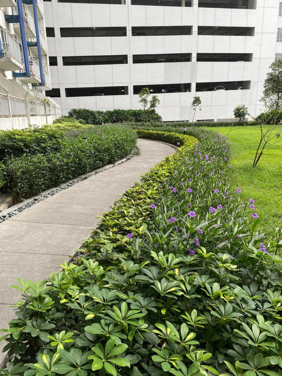 Grass Tower2 29th Apartamento Manila