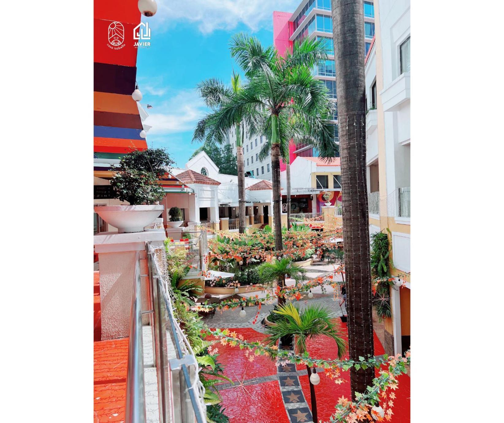 Eastwood Penthouse Studio With View, Netflix And Fast Wi-fi *