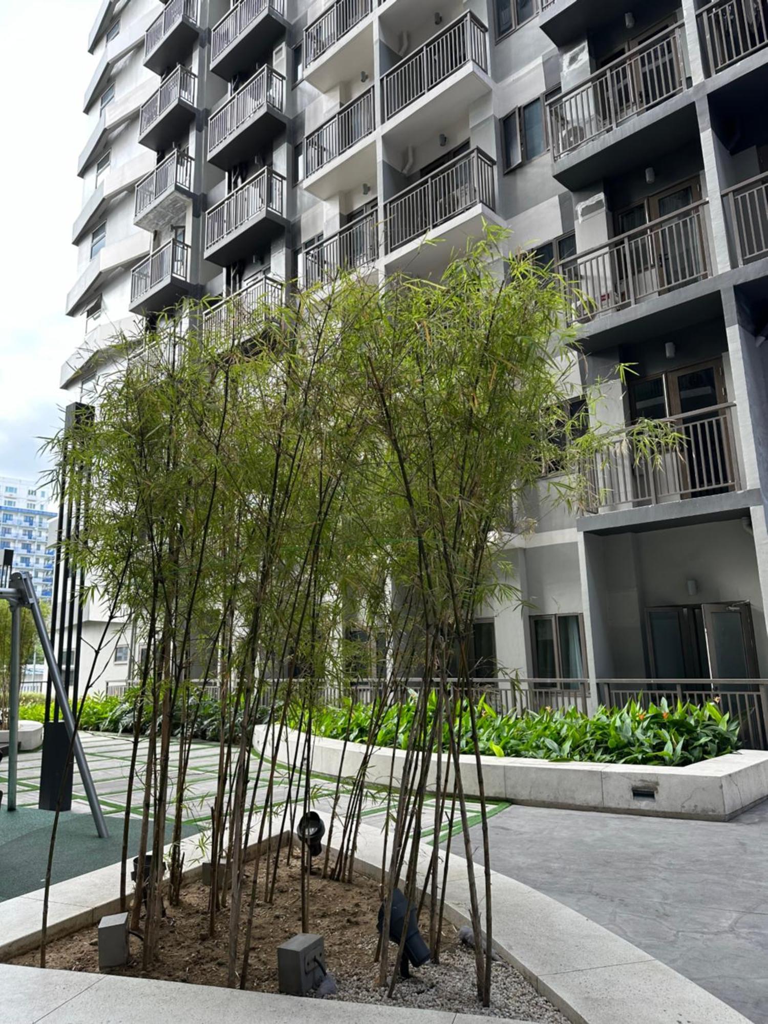 Mall Of Moa S Residences , Ikea Pasay , Naia Airport , Bay Apartment *