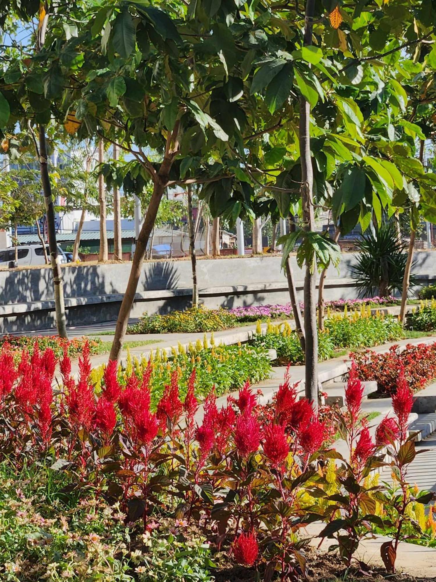 Apartment Urban Deca Homes Sm East Pasig *