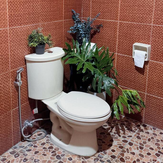 Apartment Bay Garden: Tropical Pool Villay *